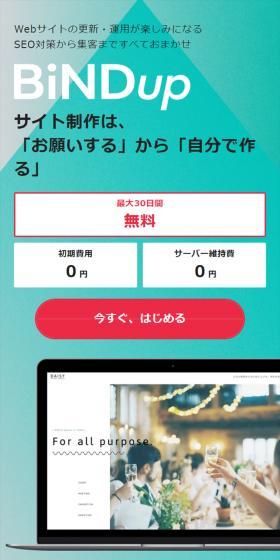 BiNDupのLPデザイン(デザイン・アプリ・システム/ブルー系/信頼・安心系)スマホ版