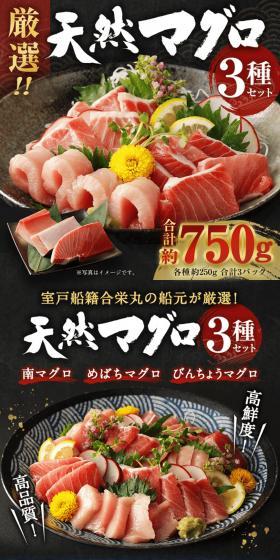 Carefully Selected 3-Variety Wild Tuna Set LP design (Seafood / Black-colored / Japanese style) Mobile version