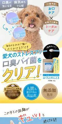 おくちとめんえきのLPデザイン（ペットフード ・ ペット用品／ブルー系／健康・癒し系）PC版