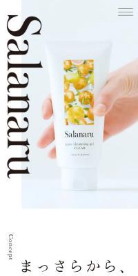 Pure Cleansing Gel