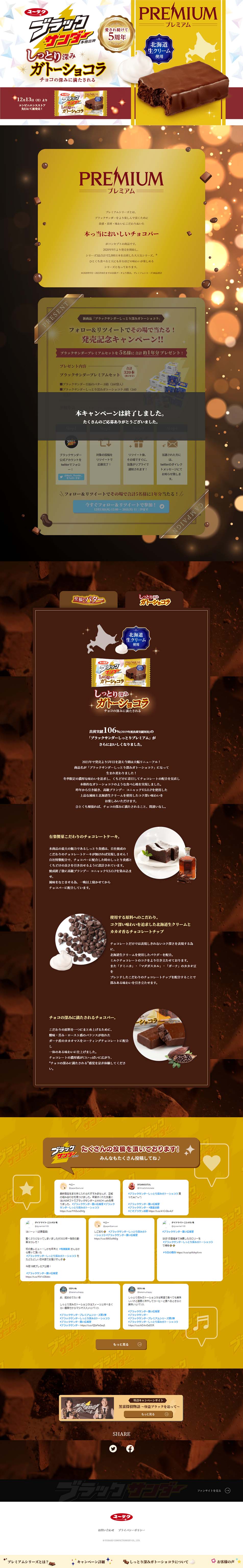 ブラックサンダー しっとり深みガトーショコラ チョコの深みに満たされるのLPデザインPC版