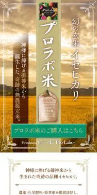 プロラボ米 幻の玄米 イセヒカリのLPデザイン（米・雑穀・シリアル／ベージュ系／シンプル系）スマホ版