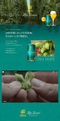 ヱビス ホップテロワールのLPデザイン（ビール・発泡酒／グリーン系／高級・セレブ系）PC版