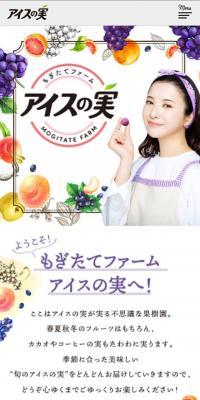 アイスの実 のLPデザイン（スナック・ガム・あめ・グミ）