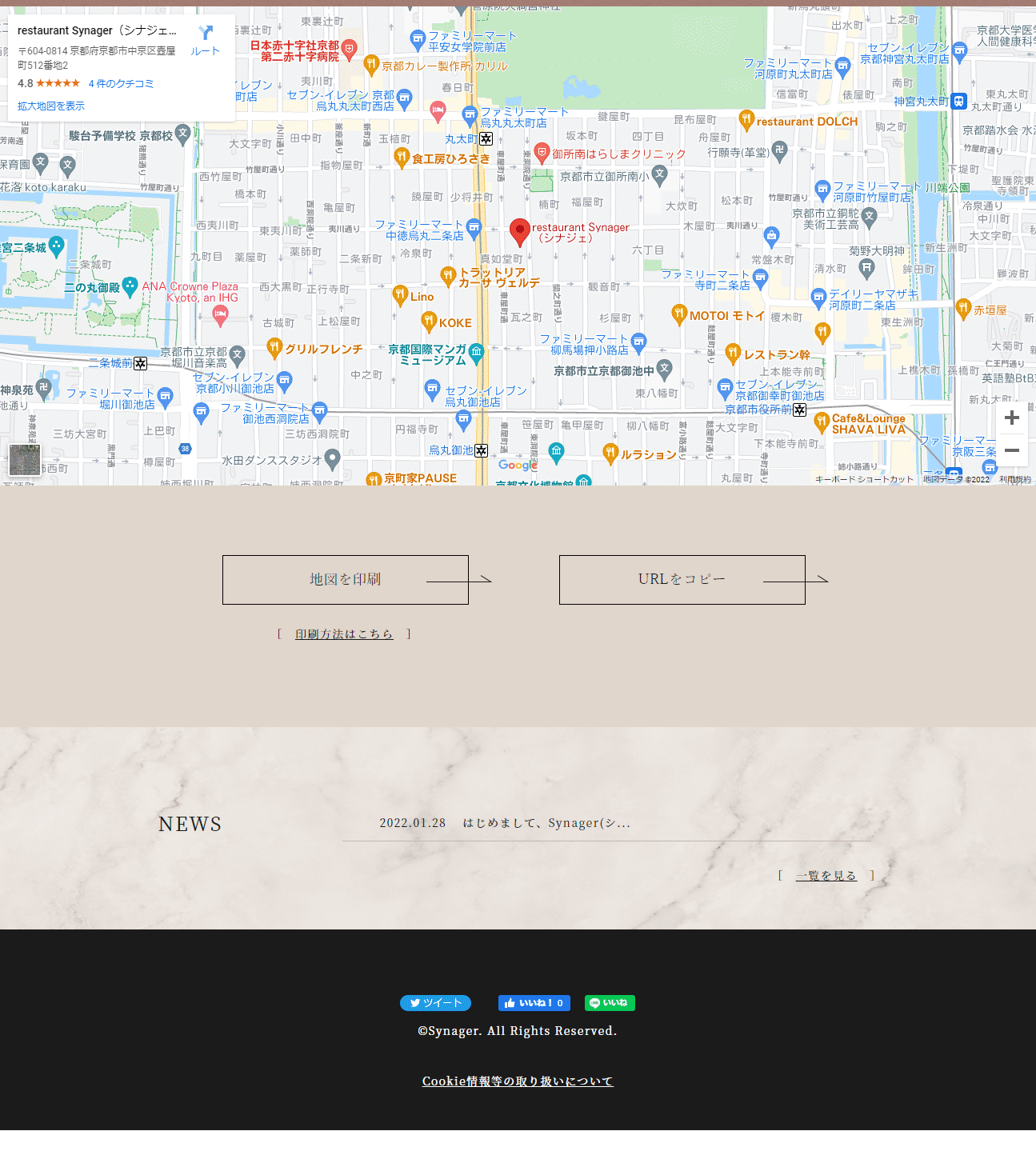 Synager LP design (Businesses, companies, stores / Beige tones / Refined style)