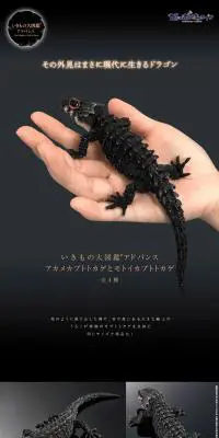 アカメカブトトカゲとモトイカブトトカゲのLPデザイン（玩具・ホビー・フィギュア／ブラック系／かっこいい系）PC版
