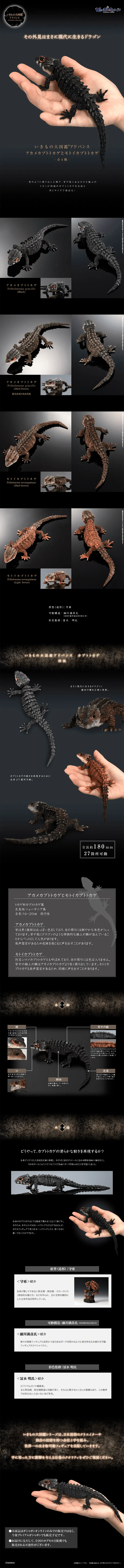 アカメカブトトカゲとモトイカブトトカゲのLPデザイン（玩具・ホビー・フィギュア／ブラック系／かっこいい系）PC版