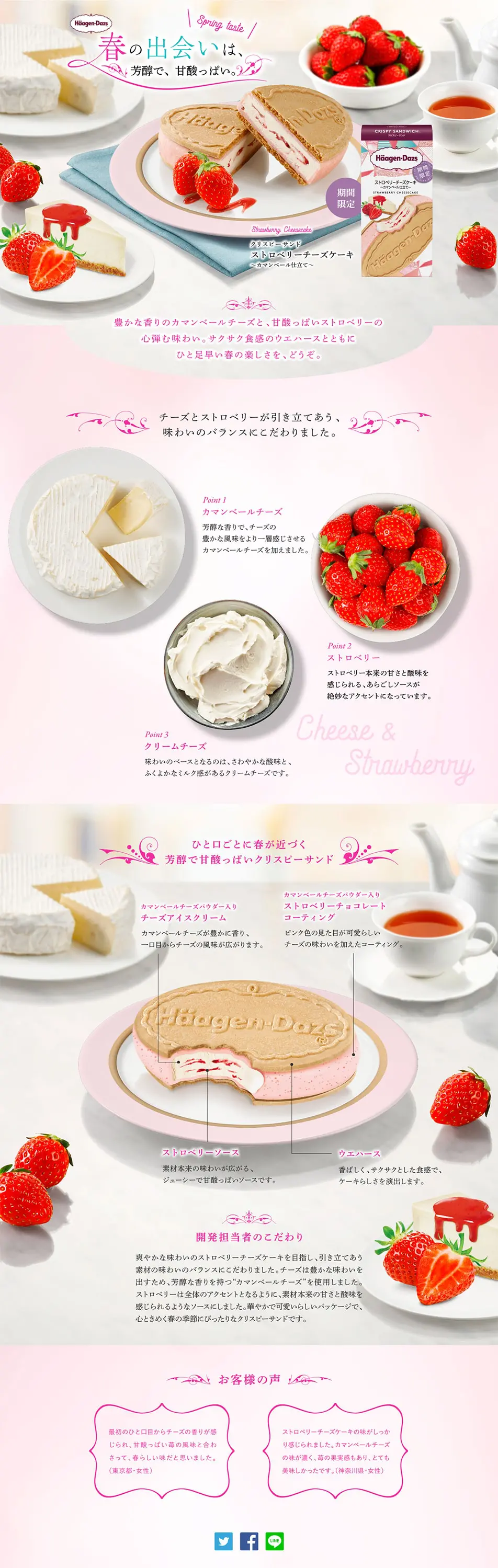 ストロベリーチーズケーキ ～カマンベール仕立て～のLPデザイン（洋菓子／ピンク系／かわいい系）PC版