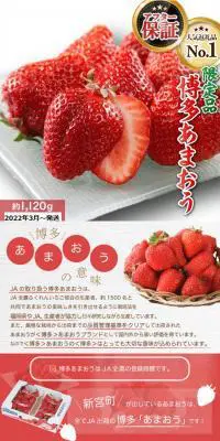 博多あまおうのLPデザイン（フルーツ・果物・野菜／レッド系／キレイ系）PC版