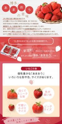 Hakata Amaou LP design (fruit-vegetable / Red tones / Refined style) Mobile version