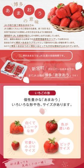 Hakata Amaou LP design (fruit-vegetable / Red tones / Refined style) Mobile version