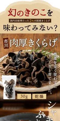 きくらげのLPデザイン（惣菜・おかず・料理／ベージュ系／信頼・安心系）PC版