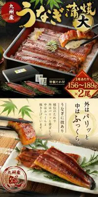 九州産うなぎ蒲焼大2尾のLPデザイン（惣菜・おかず・料理／ブラック系／和風系）PC版