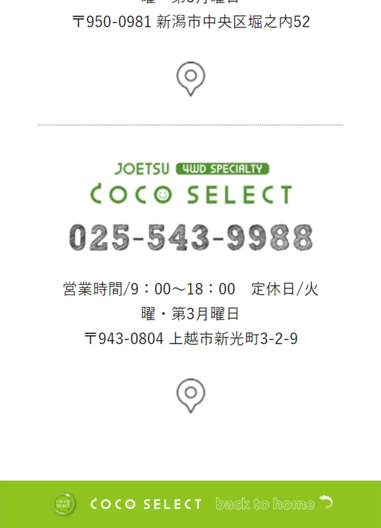 COCOSELECT LP design (Automotive Body and Accessories / Green tones / Refreshing type) Mobile version