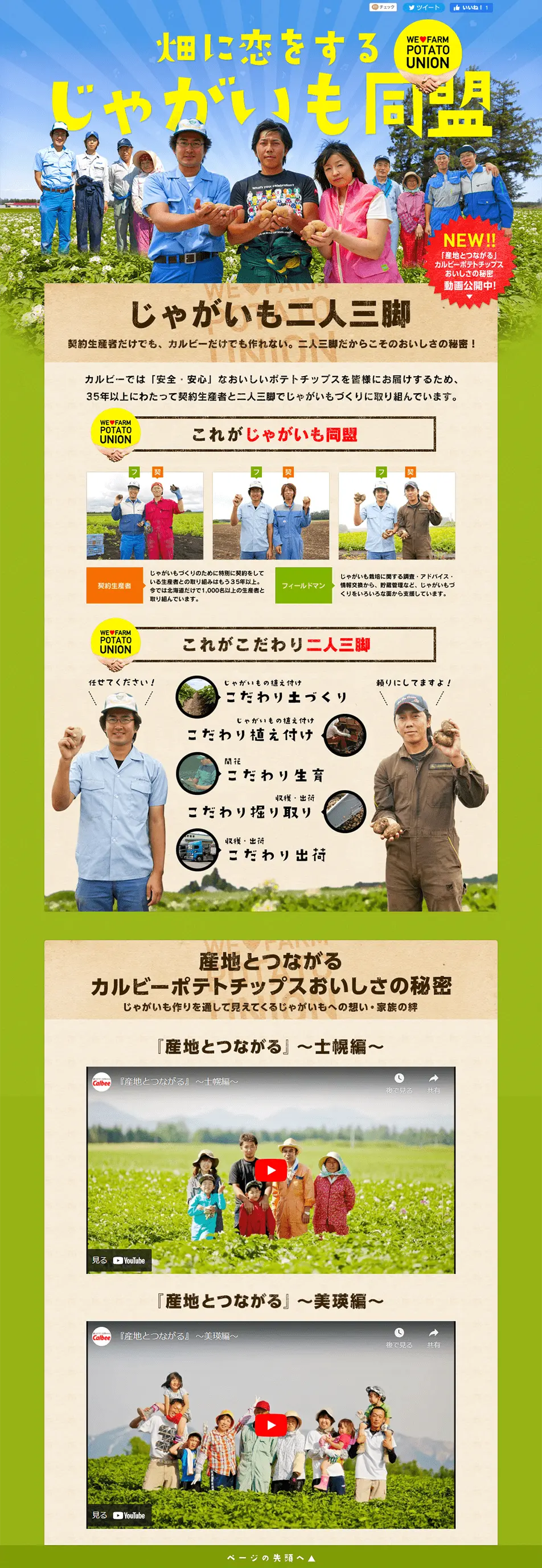Potato Alliance in Love with the Field LP design (Diagnosis, Matching, and Summary / Green tones / Refreshing type) PC version