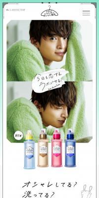 Lavons Chalebon Delicate Clothes Detergent