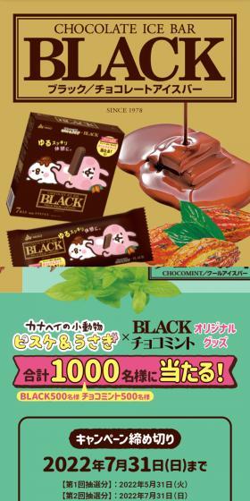 BLACK & チョコミントのLPデザイン（イエロー系／にぎやか系）スマホ版