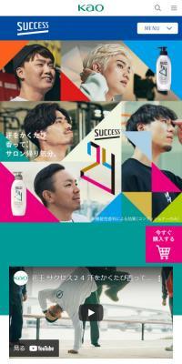Success24 Cleansing Shampoo and Scalp Conditioner