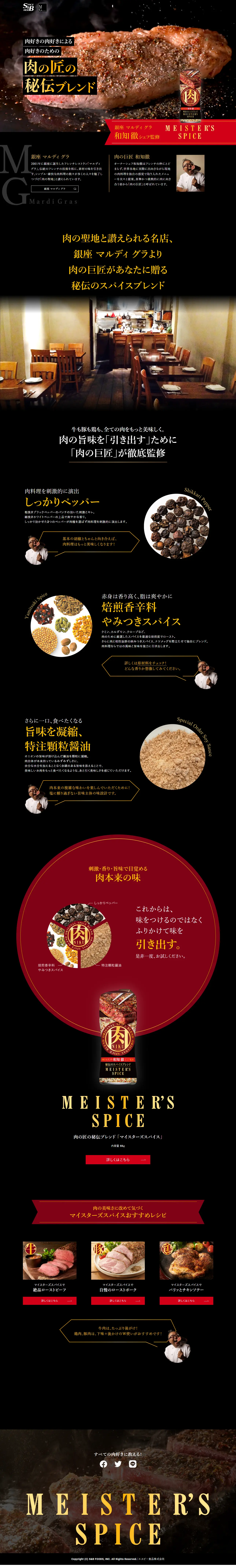 MEISTERS SPICEのLPデザイン（調味料・甘味料・ダシ・スープ／ブラック系／信頼・安心系）PC版