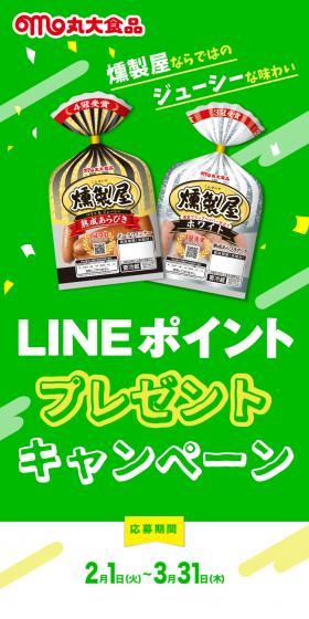 LINE Point Present Campaign LP design (Meat and Meat Products / Green tones / Lively type) Mobile version