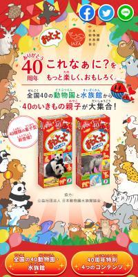 Ototto 40th Anniversary Special Website