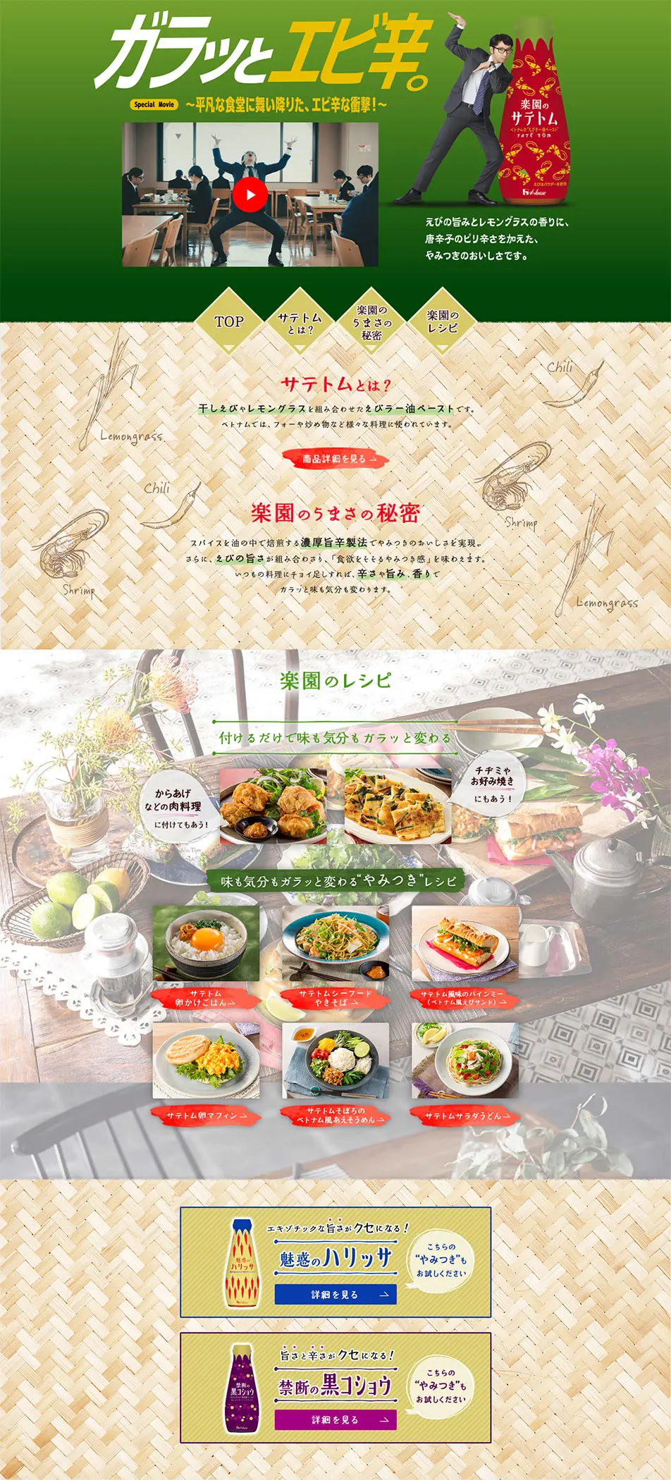 楽園のサテトムのLPデザイン（調味料・甘味料・ダシ・スープ／グリーン系／シンプル系）PC版