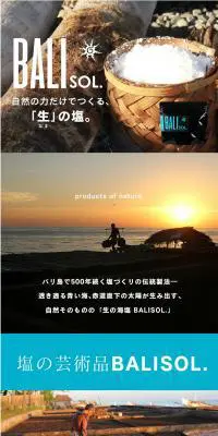 BALIOSOL.のLPデザイン（調味料・甘味料・ダシ・スープ／ブラウン系／シンプル系）PC版