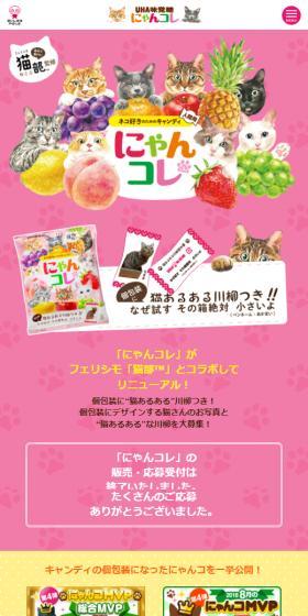 Nyan Kore LP design (Snack foods, gum, and candy / Multi-color type / Cute style) Mobile version