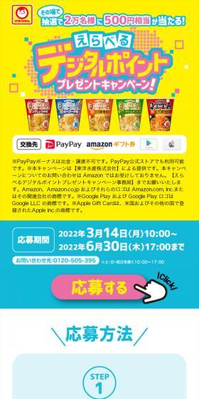 えらべるデジタルポイントプレゼントキャンペーン！のLPデザイン（イベント・キャンペーン・体験／カラフル系／にぎやか系）スマホ版