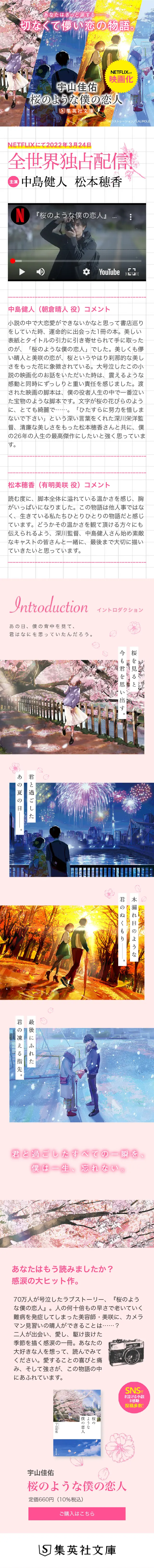 桜のような僕の恋人のLPデザイン（本・雑誌・コミック／ピンク系／アート・芸術系）スマホ版