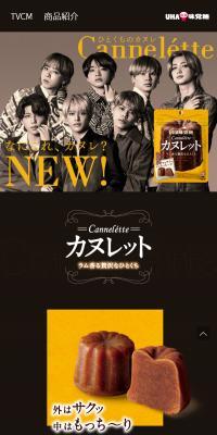 Cannelétte のLPデザイン（スナック・ガム・あめ・グミ）