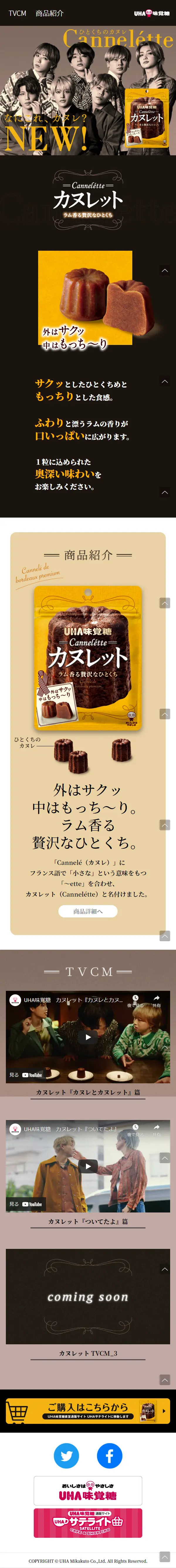 CannelétteのLPデザイン（スナック・ガム・あめ・グミ／ブラウン系／かっこいい系）スマホ版