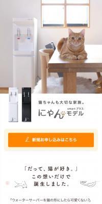 smart plus Cat Model