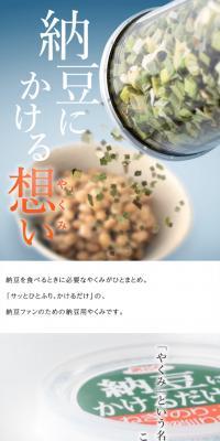 Natto Condiment