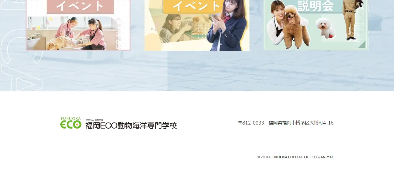 Fukuoka ECO Doubutsu Kaiyou Senmon Gakkou LP design (school / Multi-color type / Cute style) PC version
