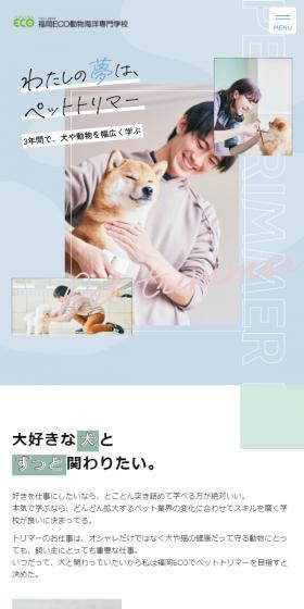 My dream is to be a pet trimmer.
