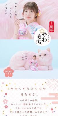 Yawa Mochi Ice 10th Anniversary