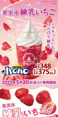 Fruit Ice with Condensed Milk and Strawberry