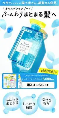 ダイアンヌボール ドライシャンプー付き シャンプー+トリートメントセットのLPデザイン（スキンケア・ボディケア・ヘアケア／ブルー系／清潔系）PC版