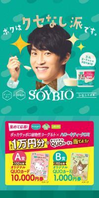 SOYBIO豆乳ヨーグルト のLPデザイン（チーズ・ヨーグルト・乳製品）