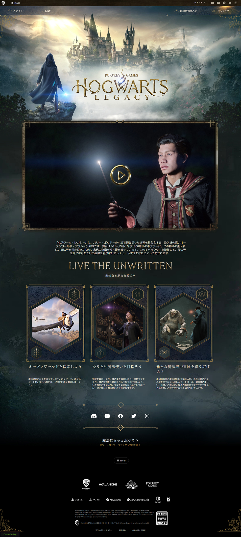 Hogwarts Legacy LP design (Game Software and Hardware / Black-colored / Mystical)