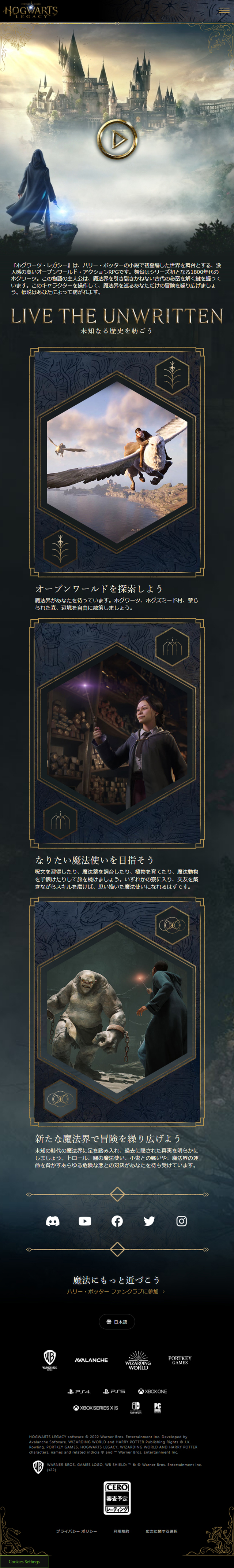 Hogwarts Legacy LP design (Game Software and Hardware / Black-colored / Mystical)