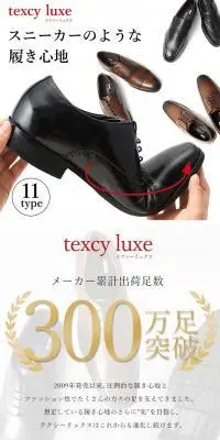 texcy luxeのLPデザイン（靴・シューズ／ホワイト系／信頼・安心系）PC版