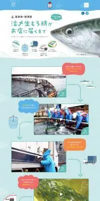 活〆生とろ鯖がお店に届くまでのLPデザイン（診断・マッチング・まとめ／ブルー系／爽やか系）PC版