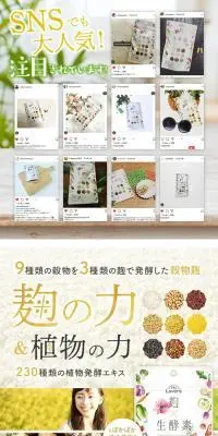 麹×生酵素のLPデザイン（健康食品・健康ドリンク・サプリメント／ベージュ系／健康・癒し系）PC版