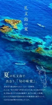 折詰キタムラサキウニ