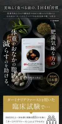 ターミナリア ファーストのLPデザイン（ダイエットサプリ・ダイエット飲料／ブラック系／シンプル系）PC版