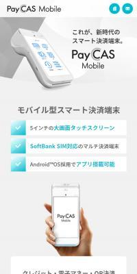 Payment Terminal PayCASMobile