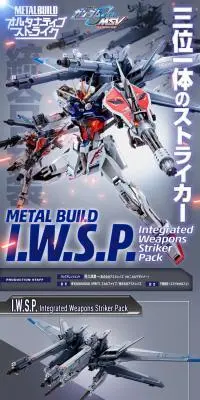 METAL BUILD I.W.S.P.のLPデザイン（玩具・ホビー・フィギュア／グレー系／かっこいい系）PC版