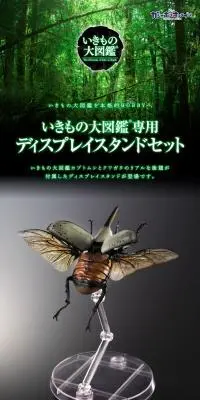 いきもの大図鑑専用　ディスプレイスタンド　カブトムシとクワガタ用後翅（大）セットのLPデザイン（玩具・ホビー・フィギュア／ブラック系／高級・セレブ系）PC版